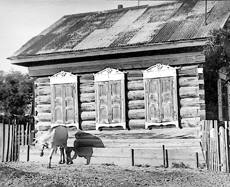 Избы первых казаков в Екатерино-Никольском