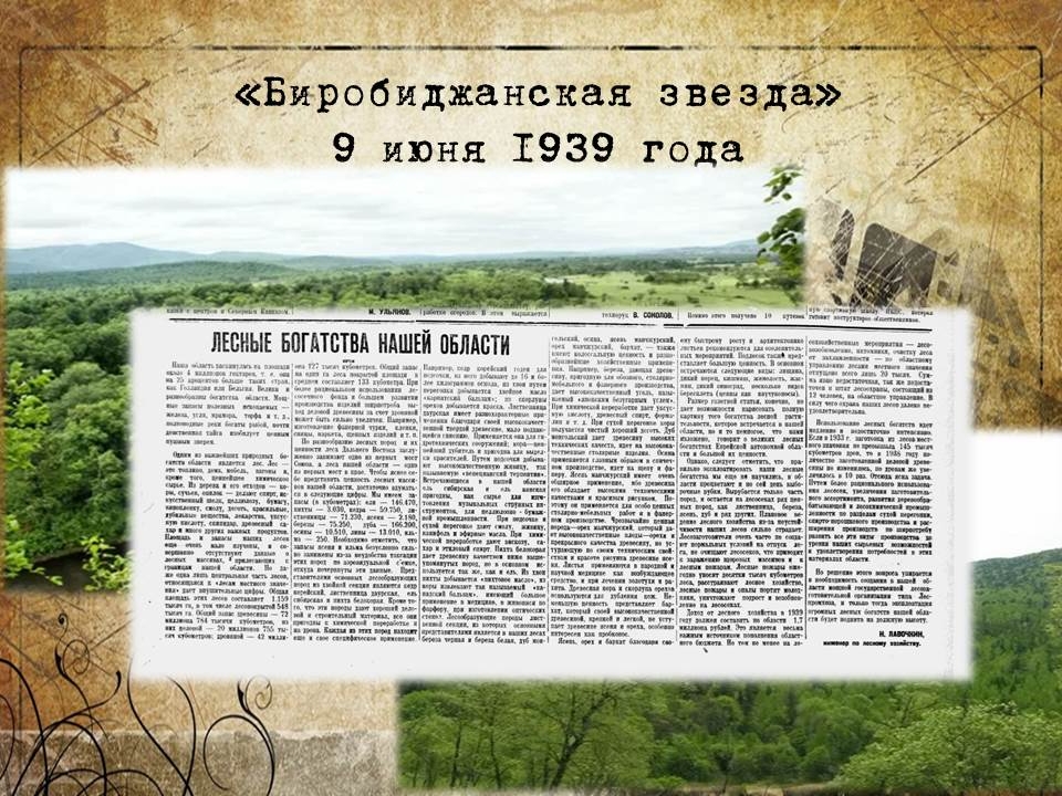 Вырезки из газеты "Биробиджанская звезда"