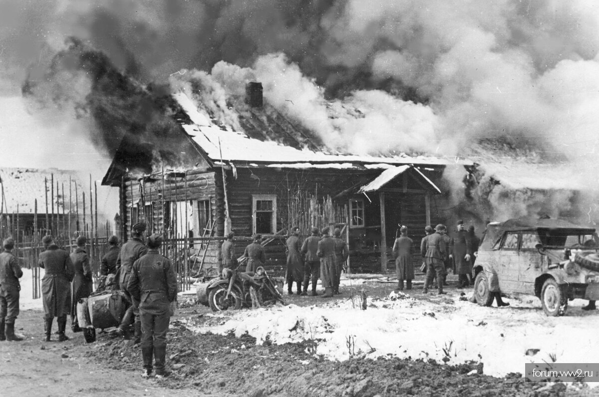 тематическое фото