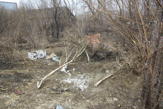 И вновь поломанные деревья
