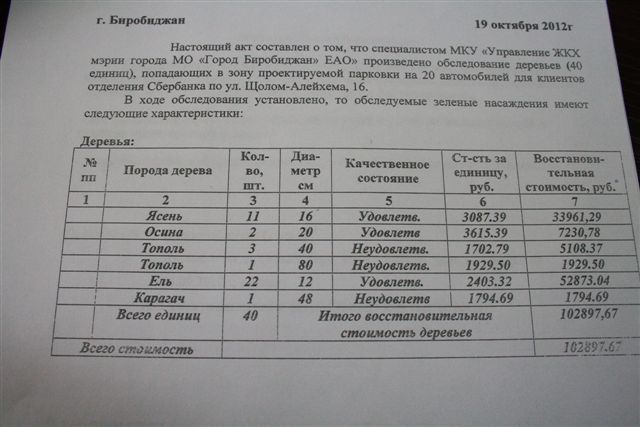 Под парковку в центре Биробиджана просят снести деревья
