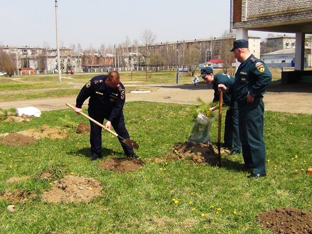 Сотрудники МЧС озеленили Ломоносовскую аллею в Биробиджане