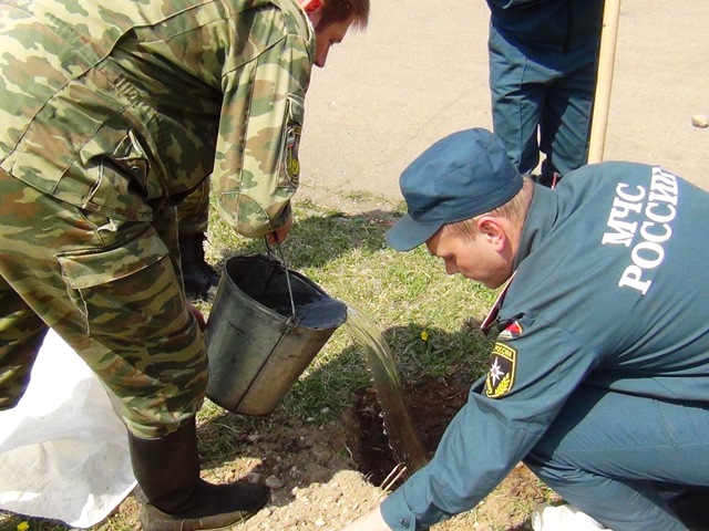 Всего высадили полсотни деревьев