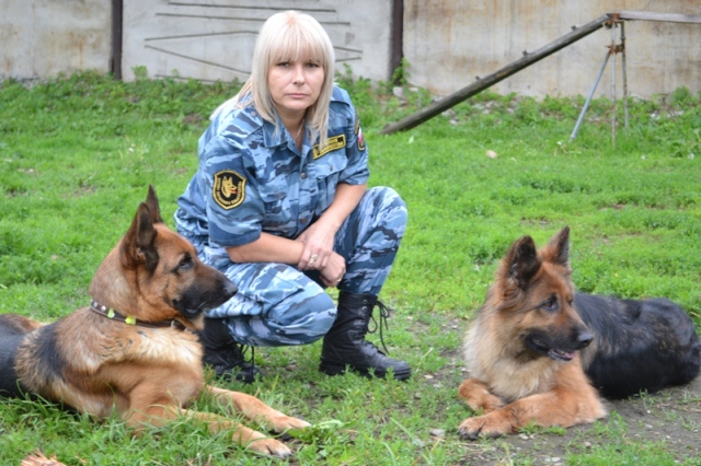 С помощью четвероногих полицейских в этом году раскрыто восемь преступлений, Фото с места события из других источников