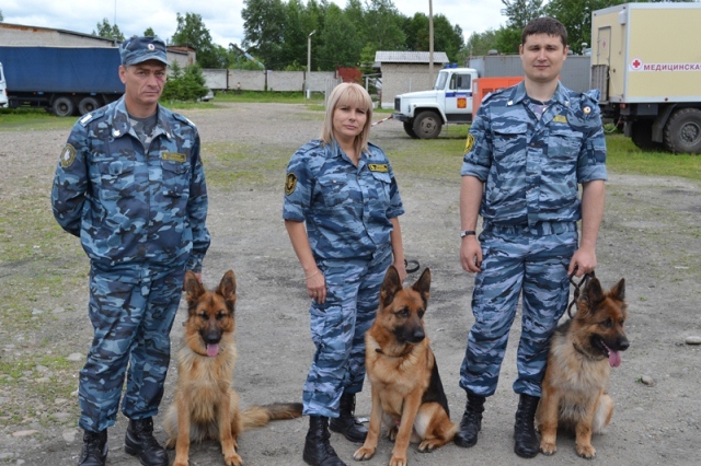 Более 100 раз за пять месяцев привлекались кинологи к расследованию происшествий в ЕАО, Фото с места события из других источников