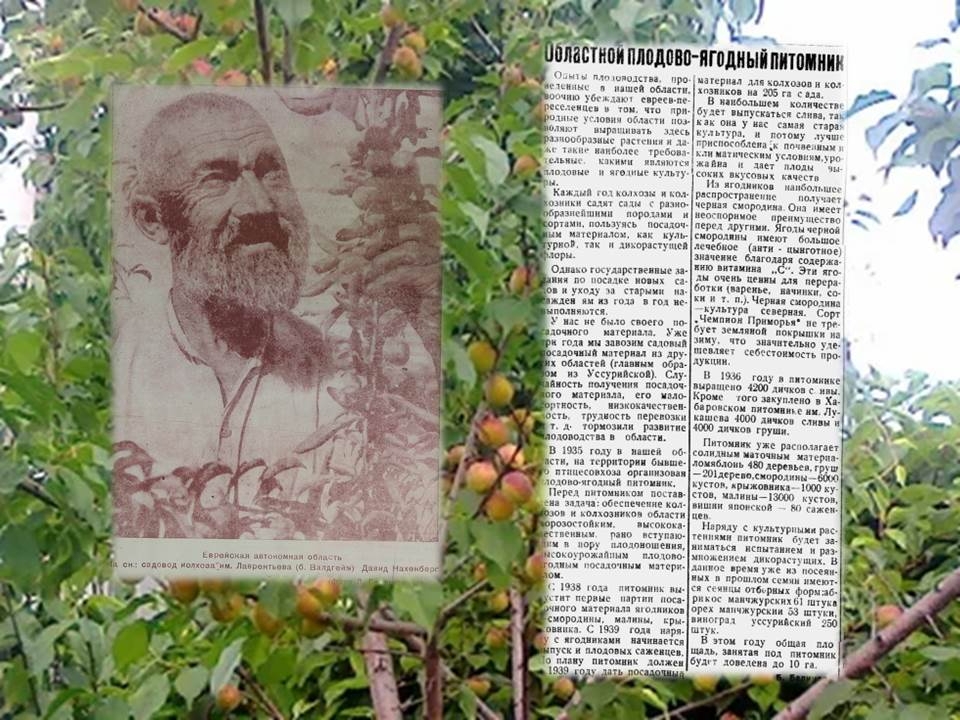 День в истории ЕАО Областная библиотека