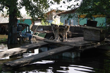 Хозяева подворий вынуждены забираться повыше, Фото с места события из других источников