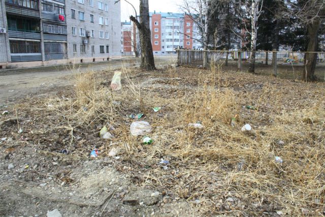 Подснежники на газоне, Фото с места события собственное