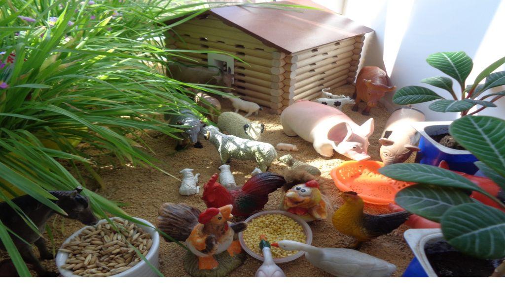 Дети вырастили огород на окне , Фото с места события из других источников