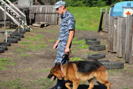 День кинолога в УФСИН, Фото с места события из других источников