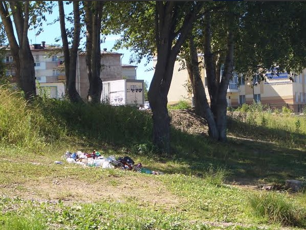 Установить мусорные контейнеры на берегу залива по ул.Невской в Биробиджане просит наркорр, Фото с места события из других источников