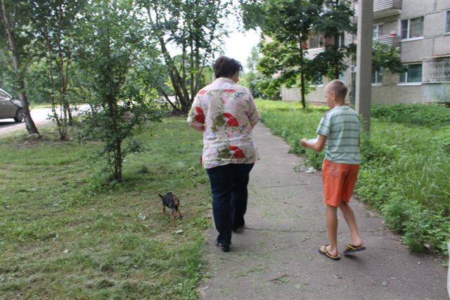 Бесплатные лопатки и пакеты раздают владельцам собак, Фото с места события собственное