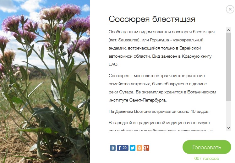 Крымчанам, возможно, не удастся устроить новогодний хоровод вокруг корейского кедра из ЕАО, Фото с места события из других источников