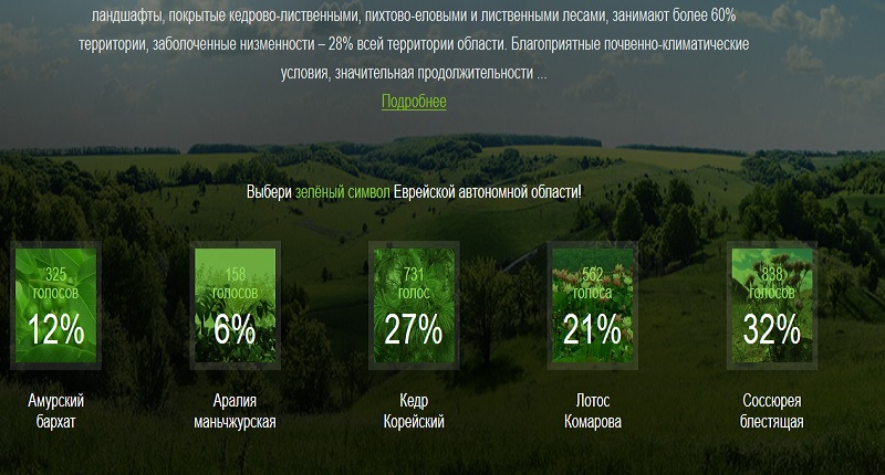 "Десантировать" в Крым свой зеленый символ ЕАО жители области могут до 31 октября, Фото с места события из других источников