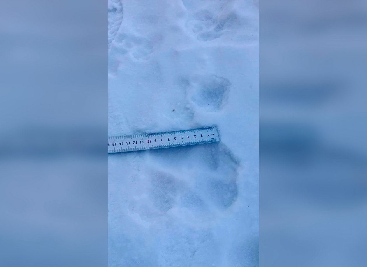 Тематическое фото правительство ЕАО