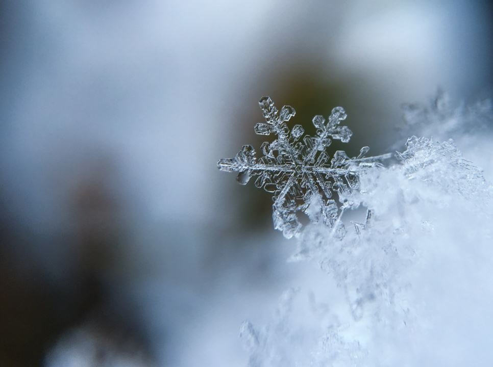 Тематическое фото https://pxhere.com/ru