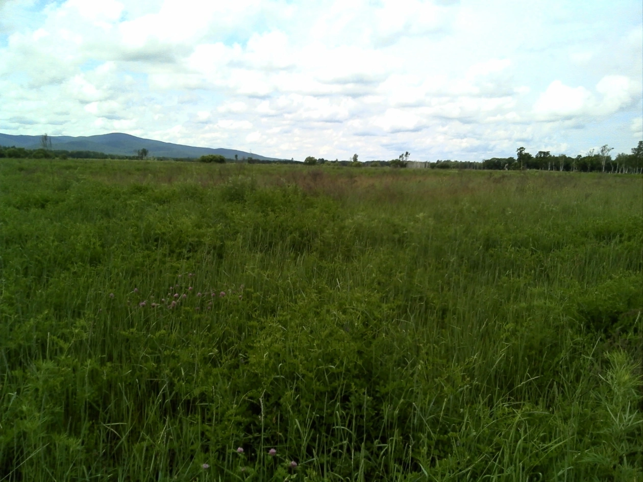 Тематическое фото Россельхознадзор