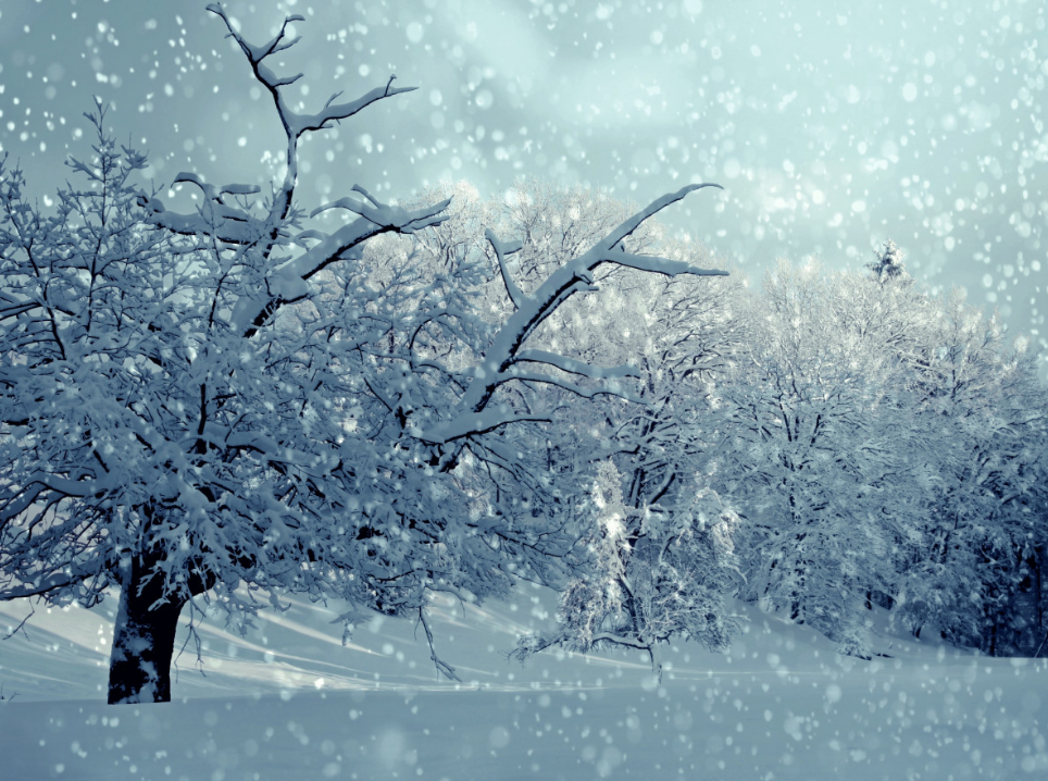 тематическое фото https://pxhere.com/ru/photo