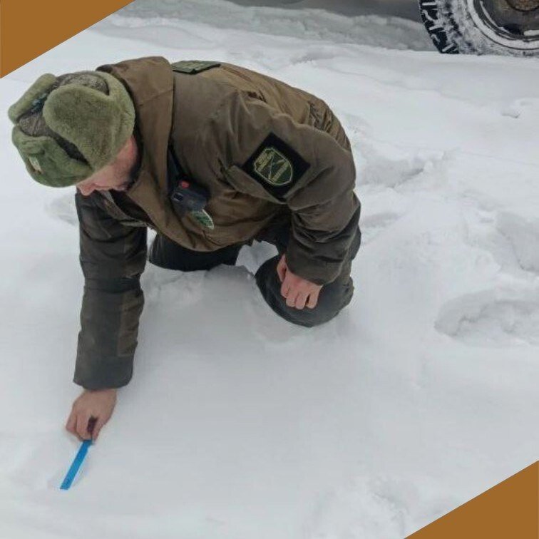 Тематическое фото департамент по охране и использованию объектов животного мира