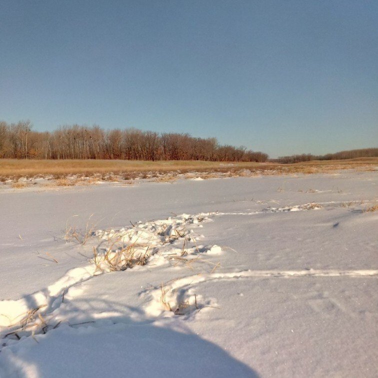 департамент по охране и использованию объектов животного мира ЕАО