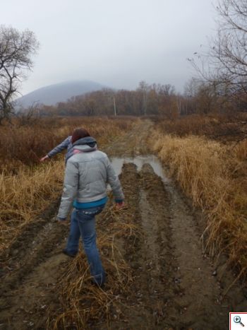 Следы Амурской колесухи обнаружили биробиджанские студенты-географы, Фото с места события из других источников