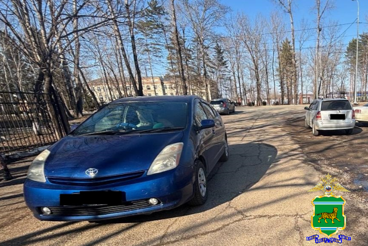 ДТП в Биробиджане областная ГАИ