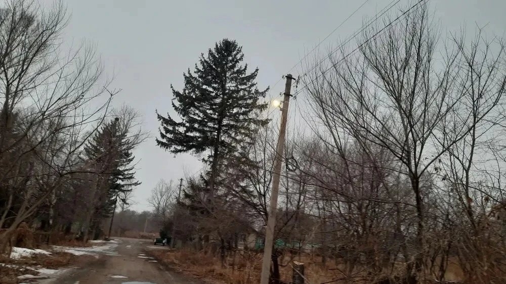 Тематическое фото правительство ЕАО