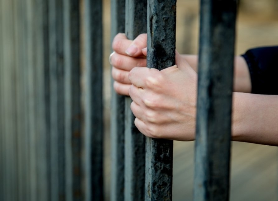 Тематическое фото ИА PrimaMedia