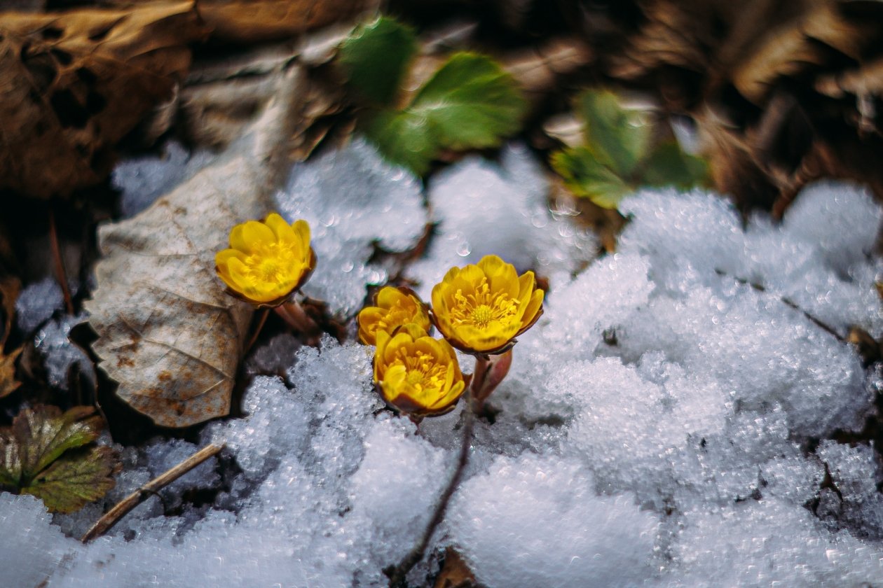 Тематическое фото Мария Смитюк, ИА PrimaMedia