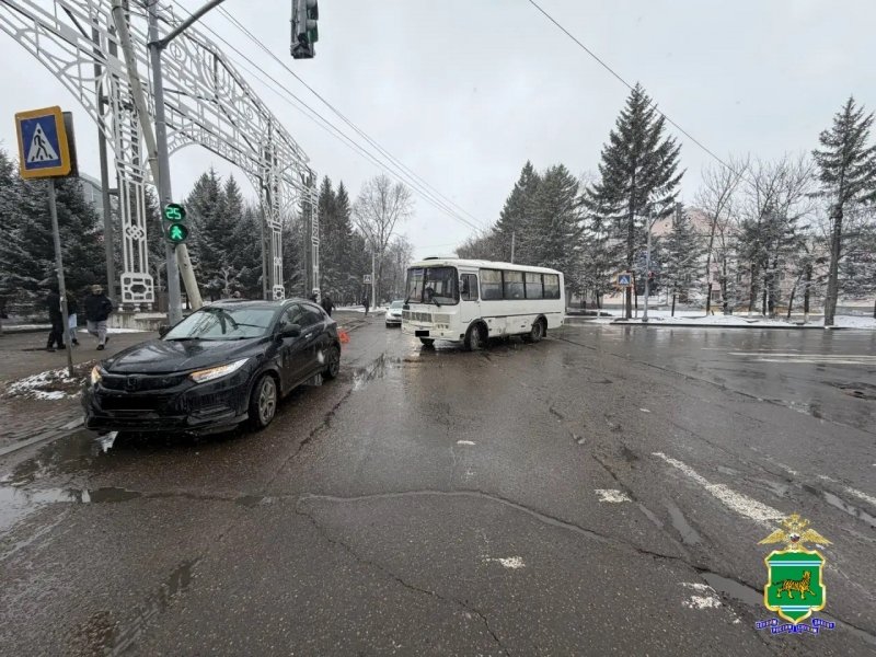 ДТП Госавтоинспекция ЕАО