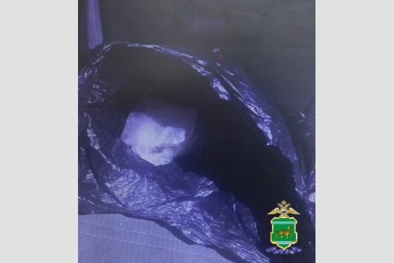 Тематическое фото пресс-служба УМВД ЕАО