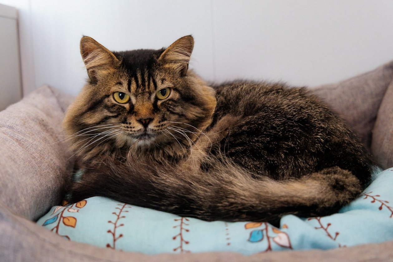 Тематическое фото Евгений Кулешов, ИА PrimaMedia.ru