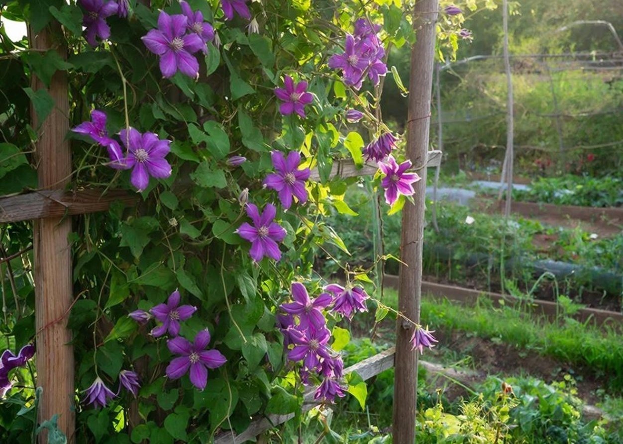 Тематическое фото Создано при помощи ИИ.
