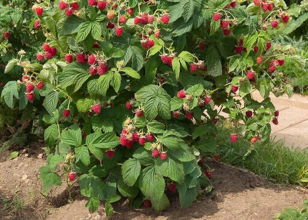 Тематическое фото Создано при помощи ИИ.