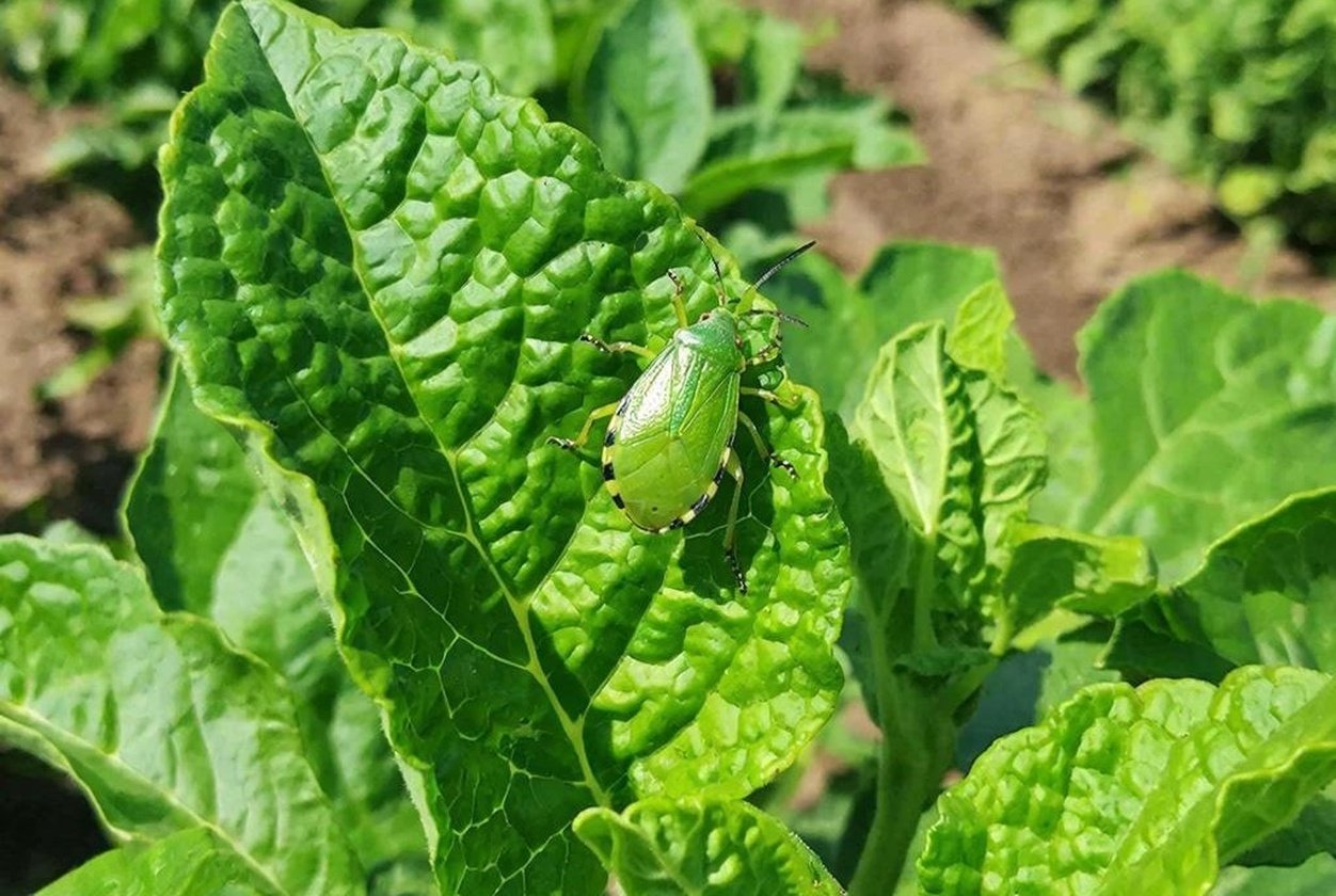 Тематическое фото Создано при помощи ИИ.
