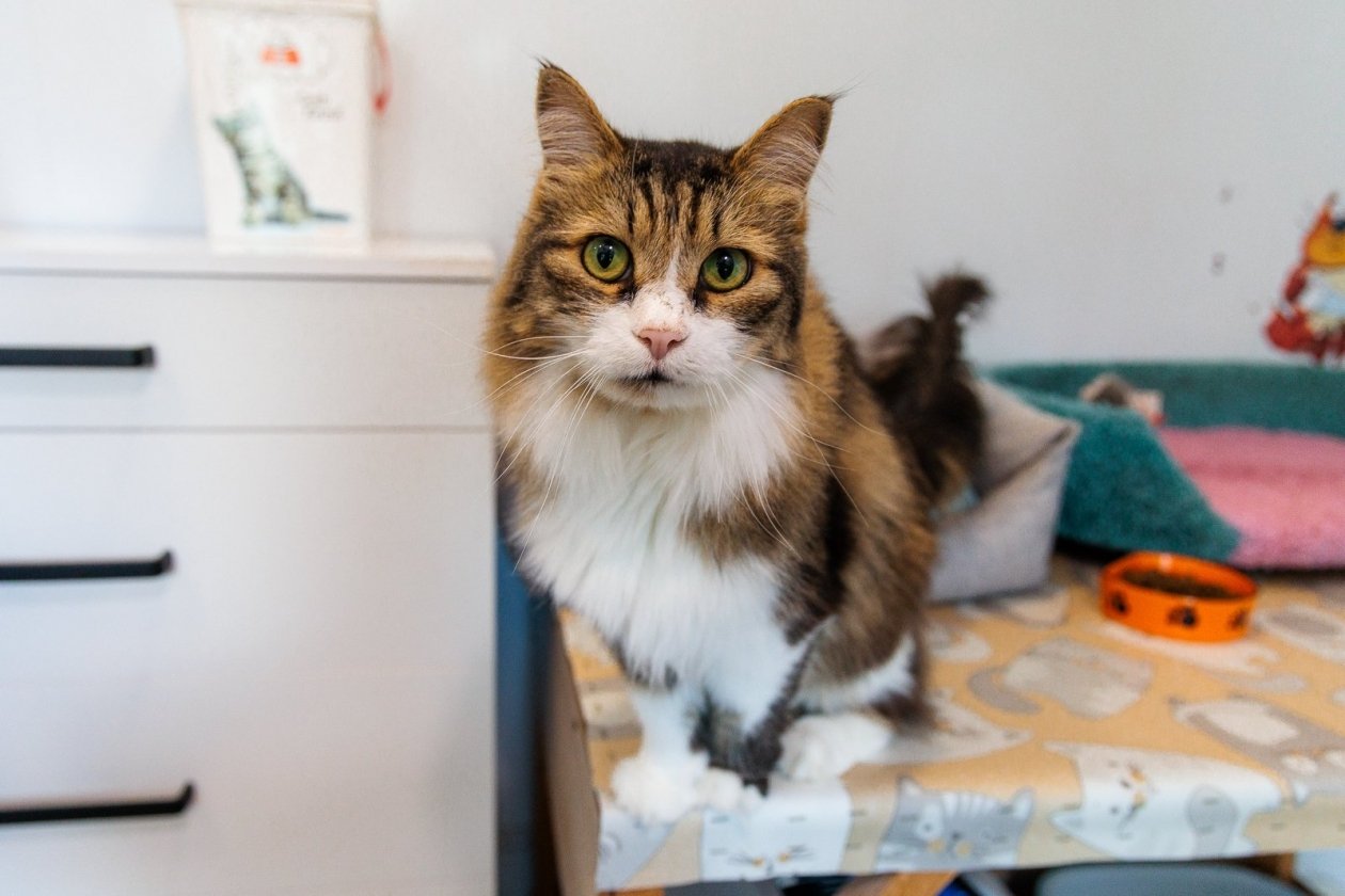 Тематическое фото Евгений Кулешов, ИА PrimaMedia