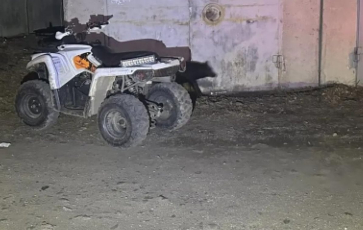 ДТП Госавтоинспекция ЕАО