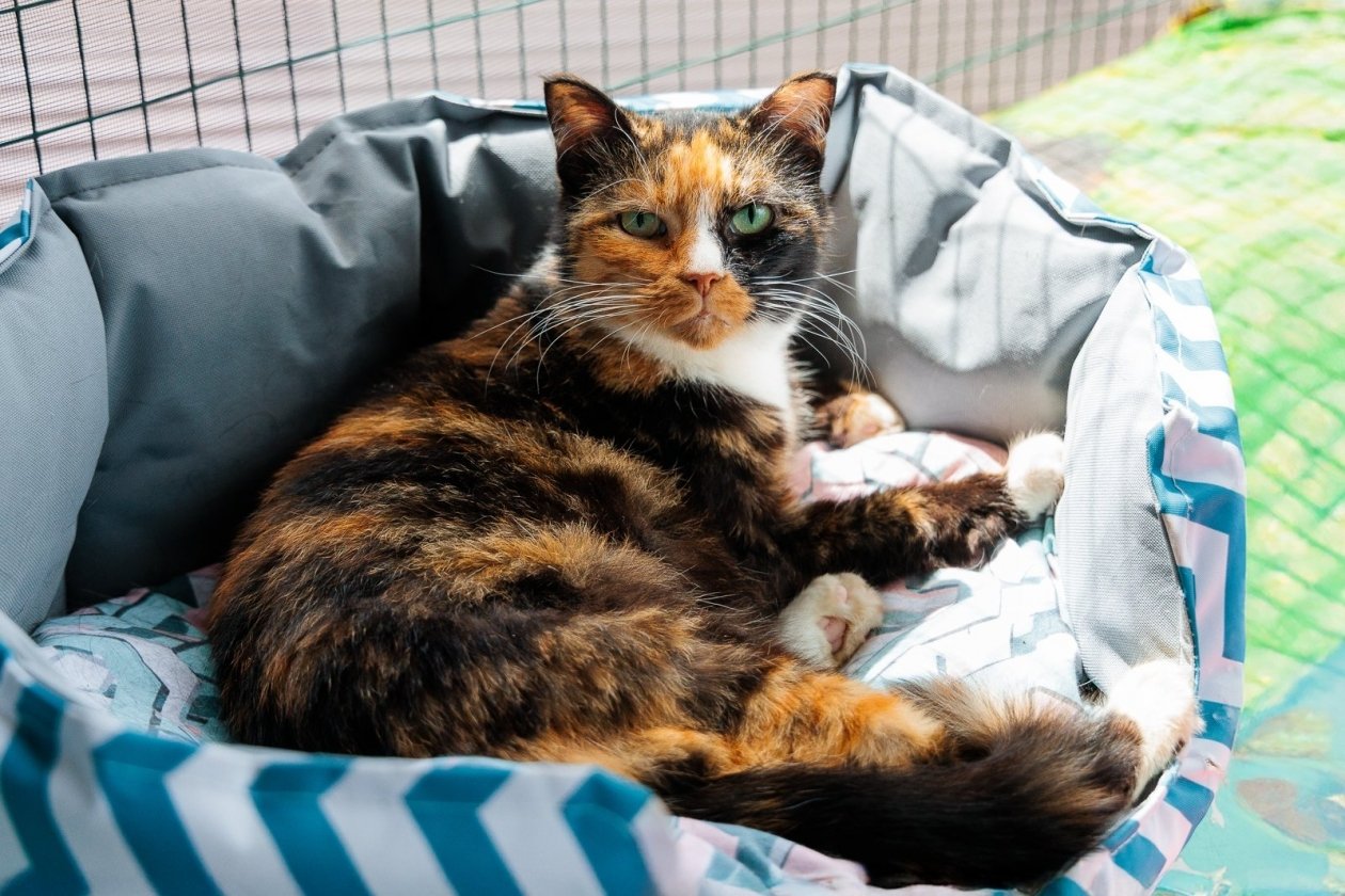 Тематическое фото Евгений Кулешов, ИА PrimaMedia