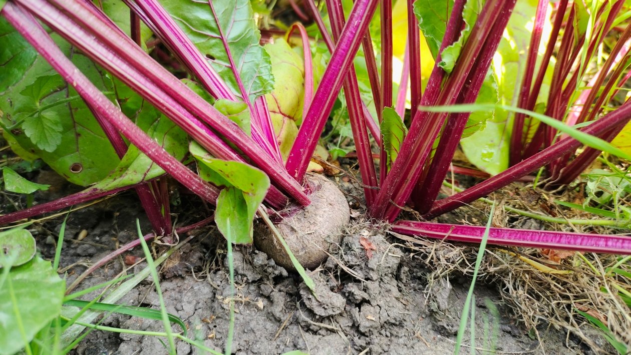 Тематическое фото Автора