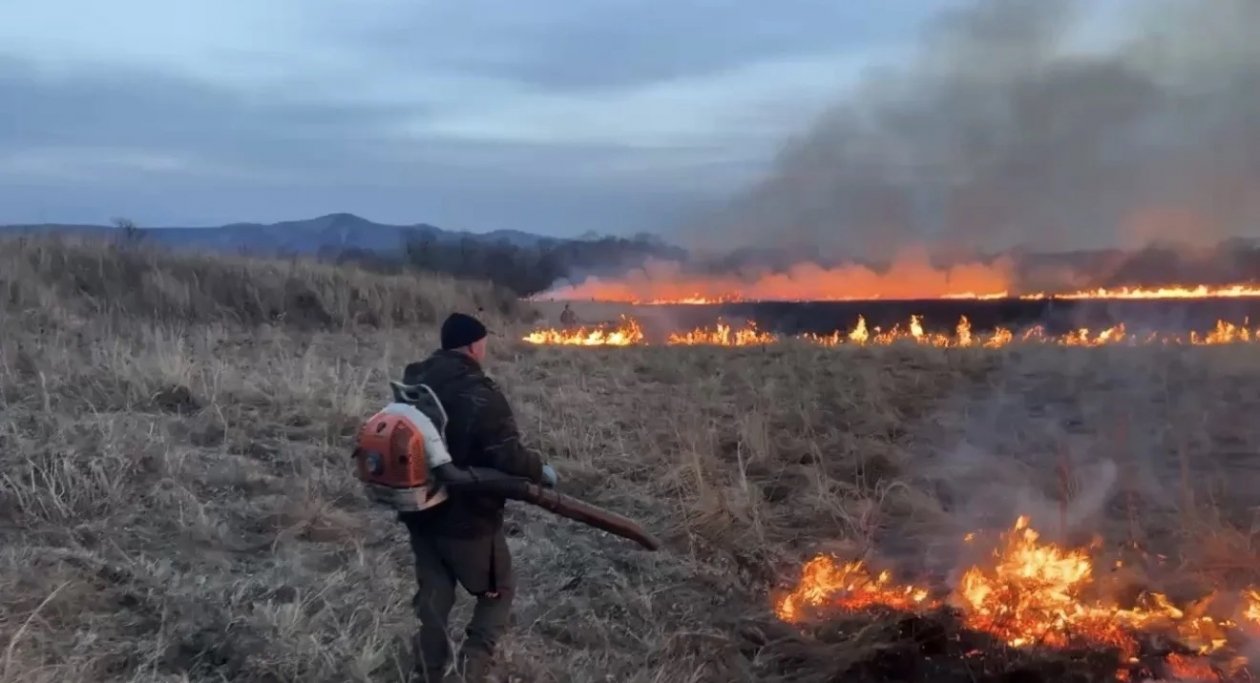 правительство ЕАО