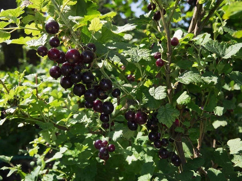 Тематическое фото Создано при помощи ИИ.