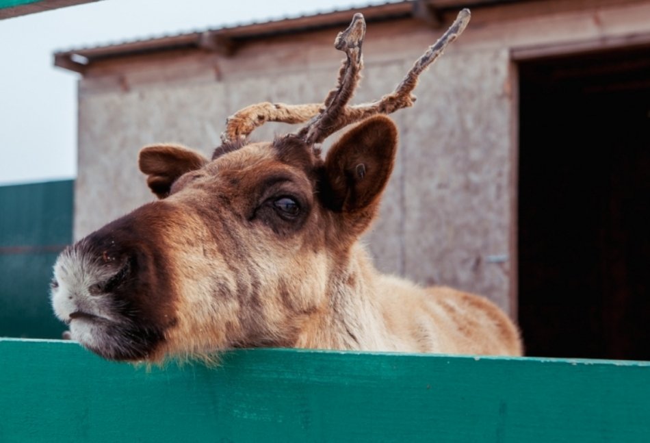 Тематическое фото ИА EAOMedia