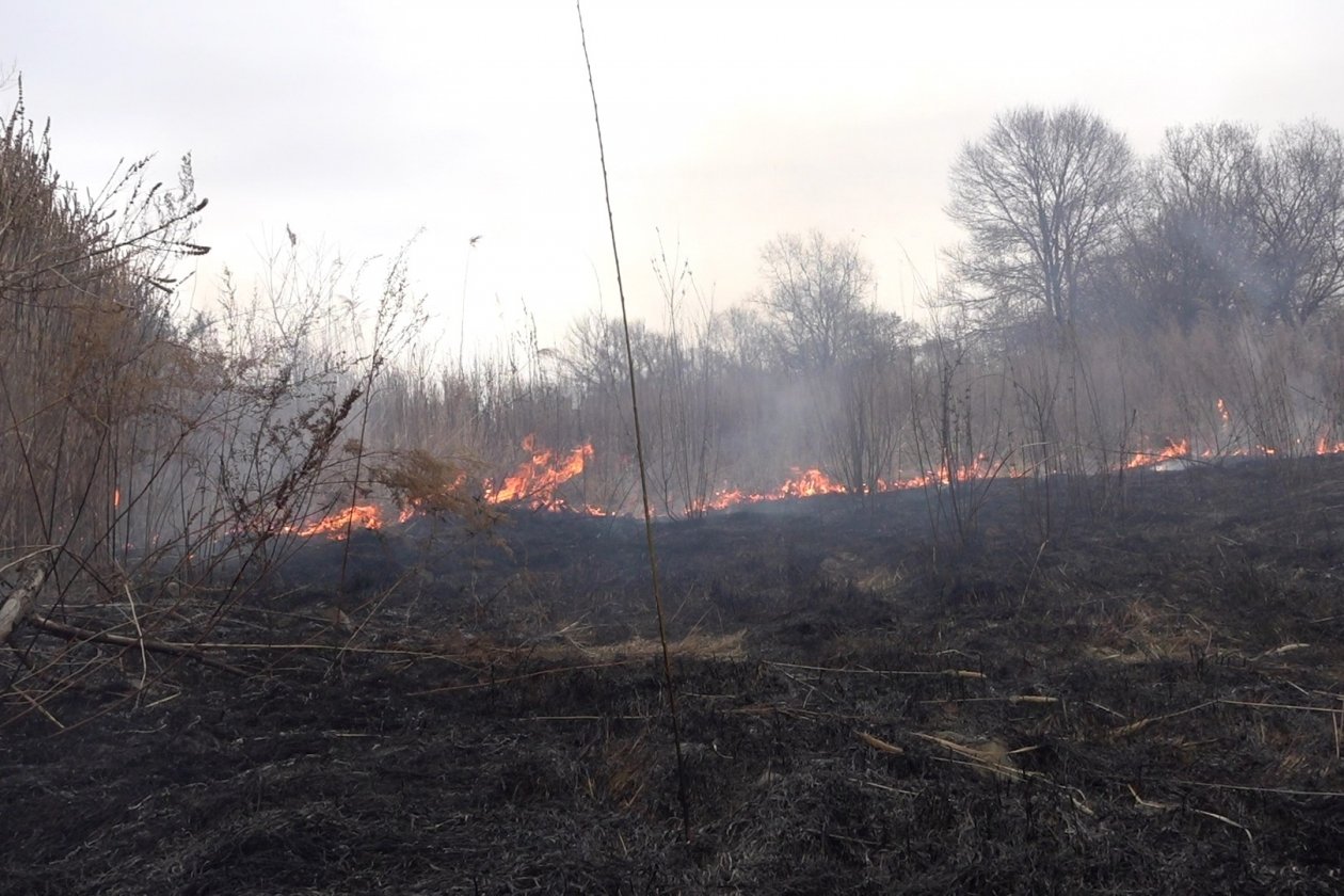 Тематическое фото правительство ЕАО