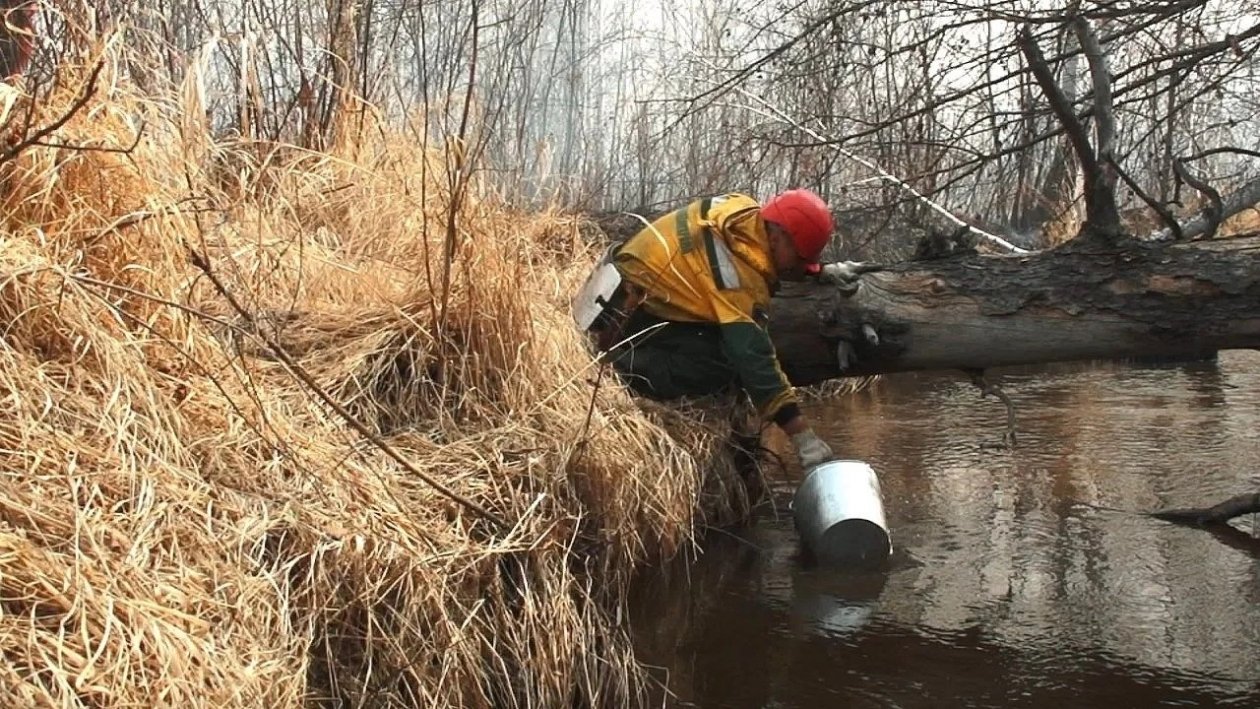 правительство ЕАО