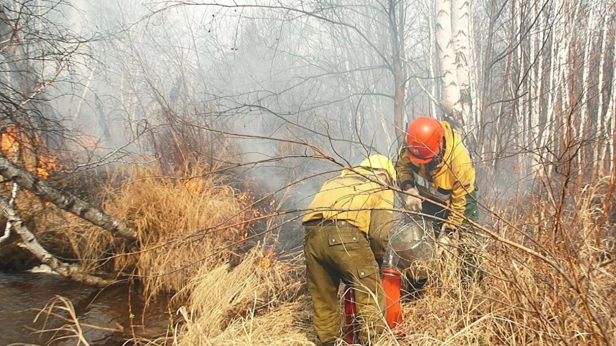 Тематическое фото правительство ЕАО
