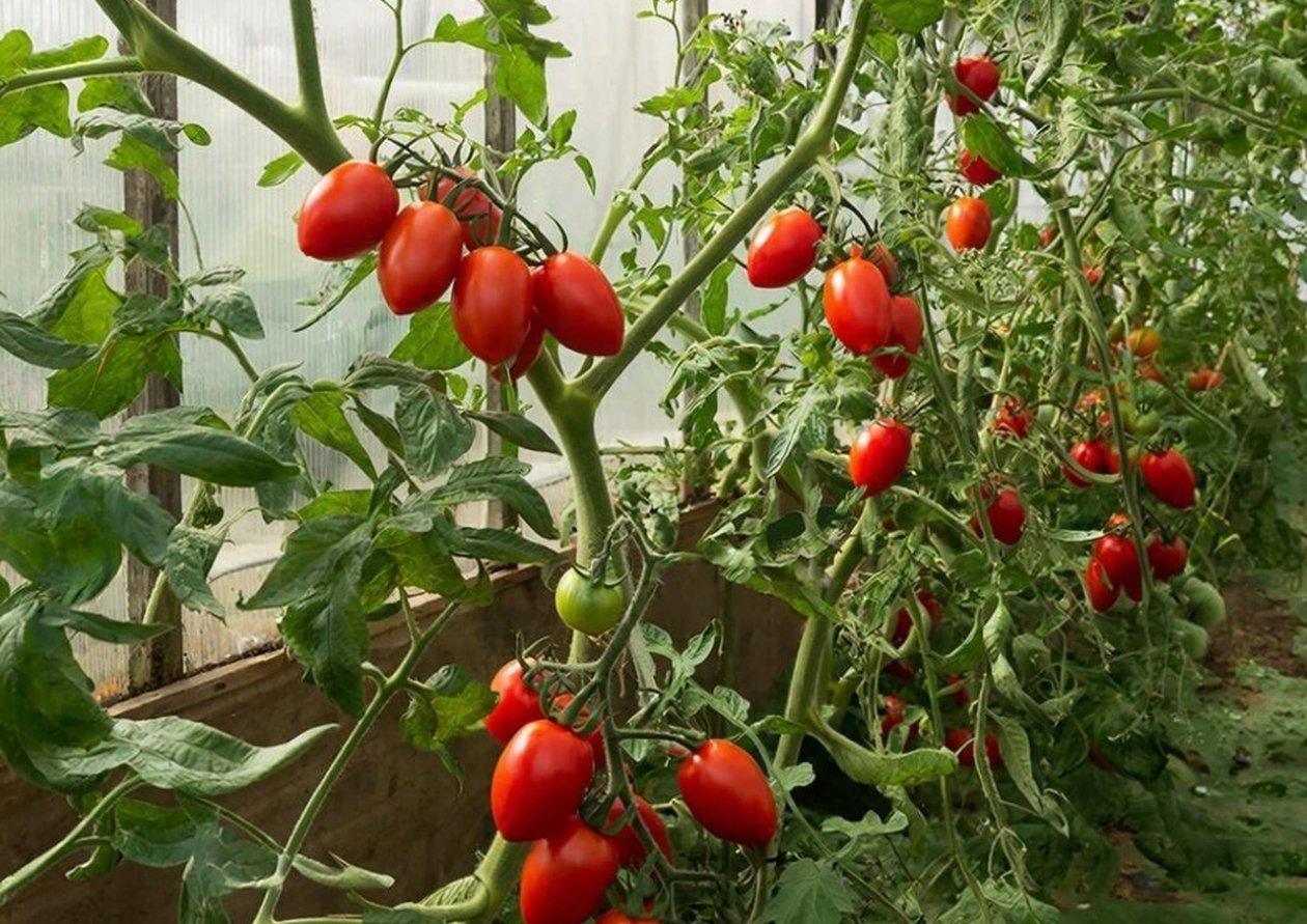 Тематическое фото Создано при помощи ИИ.