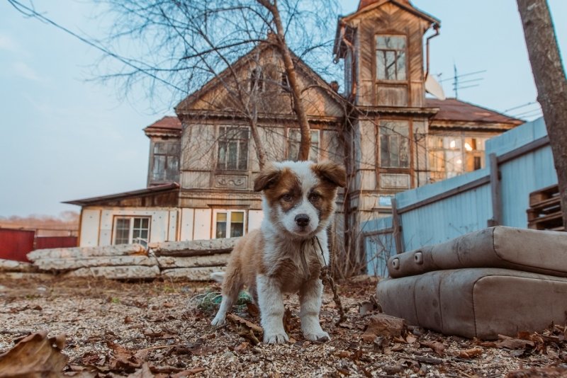 Тематическое фото ИА ЕАОMedia