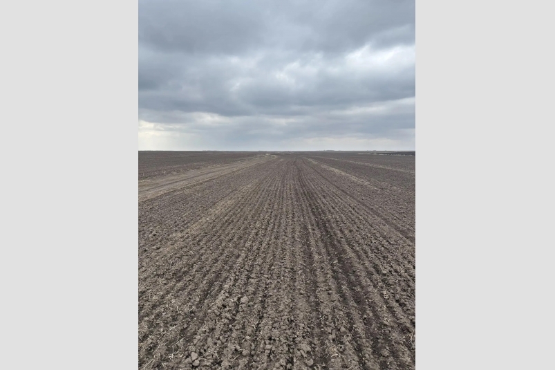 Тематическое фото правительство ЕАО