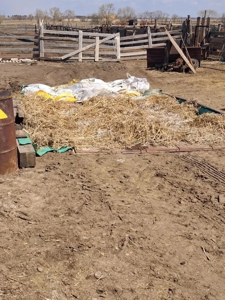 департамент ветеринарии ЕАО