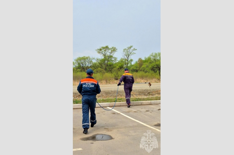 МЧС ЕАО